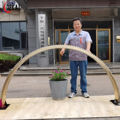 扇形雙導程蝸桿蝸輪副